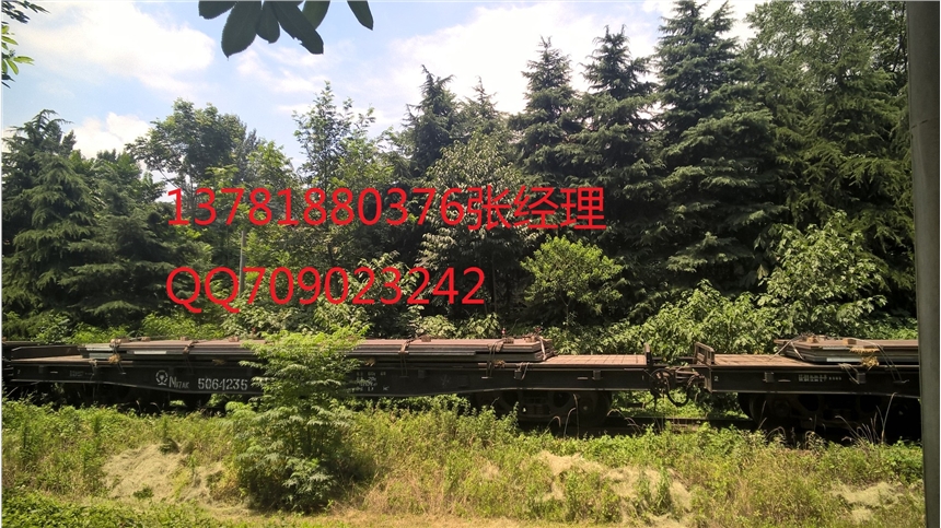 䓰1Cr0.5Moa(chn)(yng)(bio)
