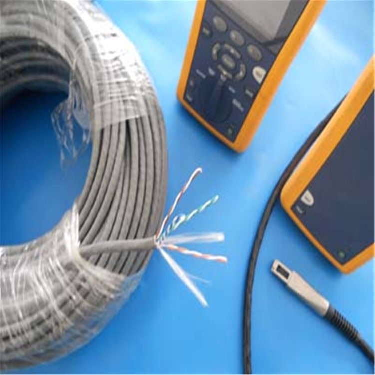 CAT4*2*0.5pgW(wng)  趨