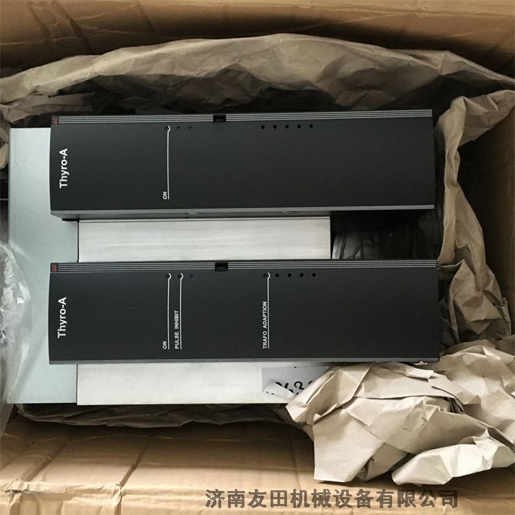 AEG{2000000885 Thyro-S 1S 230-100 H RL 1