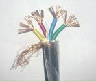 (bio) VVR VVR22 RVV RVV22 1*61KVܛо|