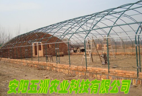 鍍鋅鋼管大棚 鋼管大棚骨架機 新型大棚骨架機
