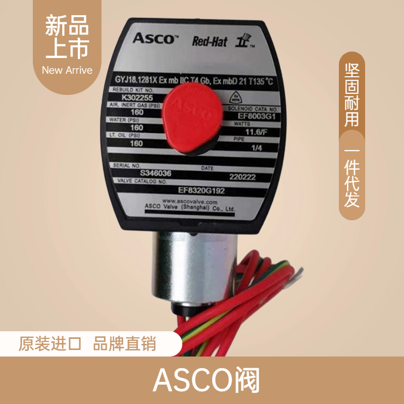 ASCOEF8215B050DN25DN40DN50DN65ȼ?x)늴yEF8215B