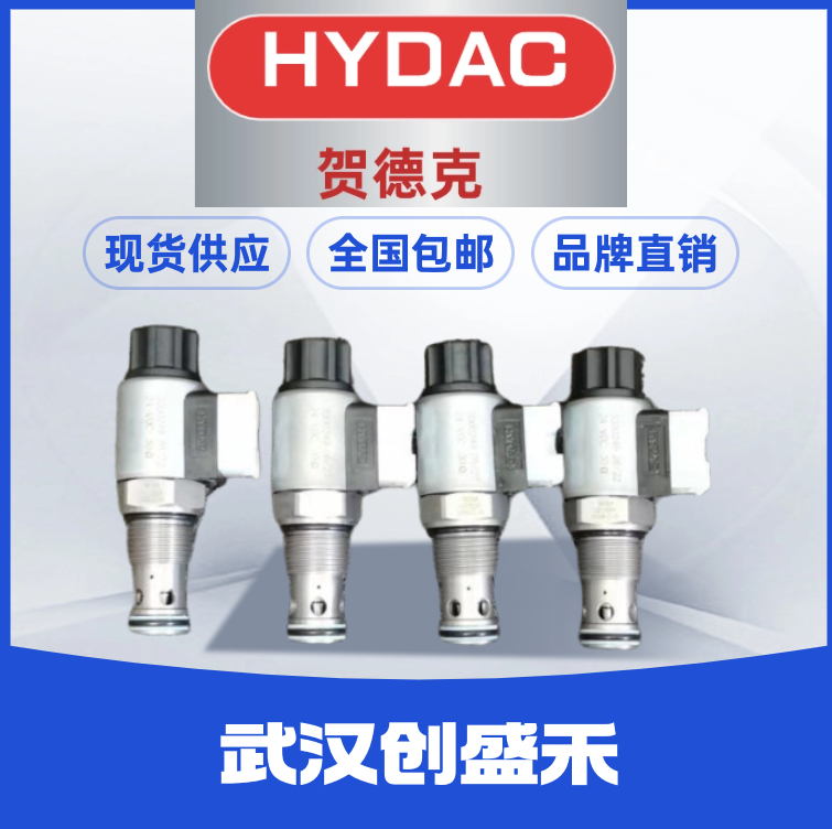HM63-250-R-G6036974HYDAC\/R¿