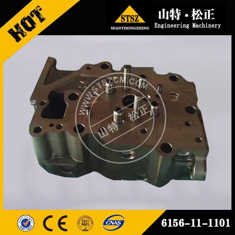 ھC(j)PC1250-8w6245-11-1100l(f)(dng)C(j)w