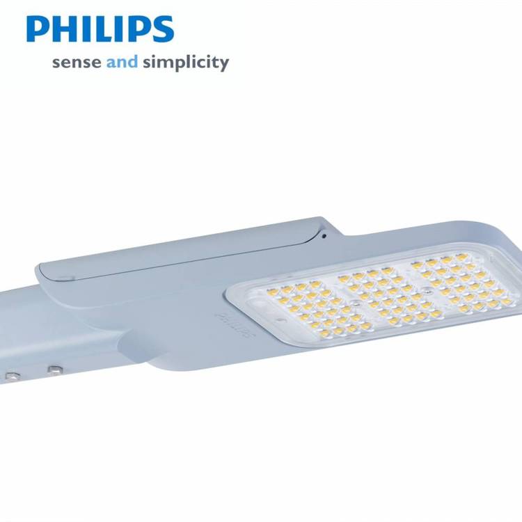 PhilipswBRP595300ߑˮLED·^