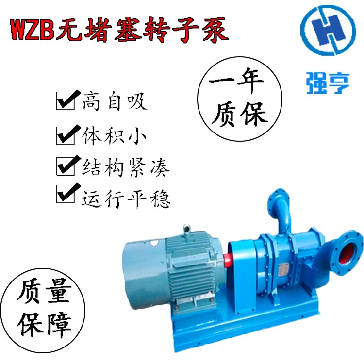 大流量無堵塞轉(zhuǎn)子泵污水污泥糞便等介質(zhì)電動輸送泵