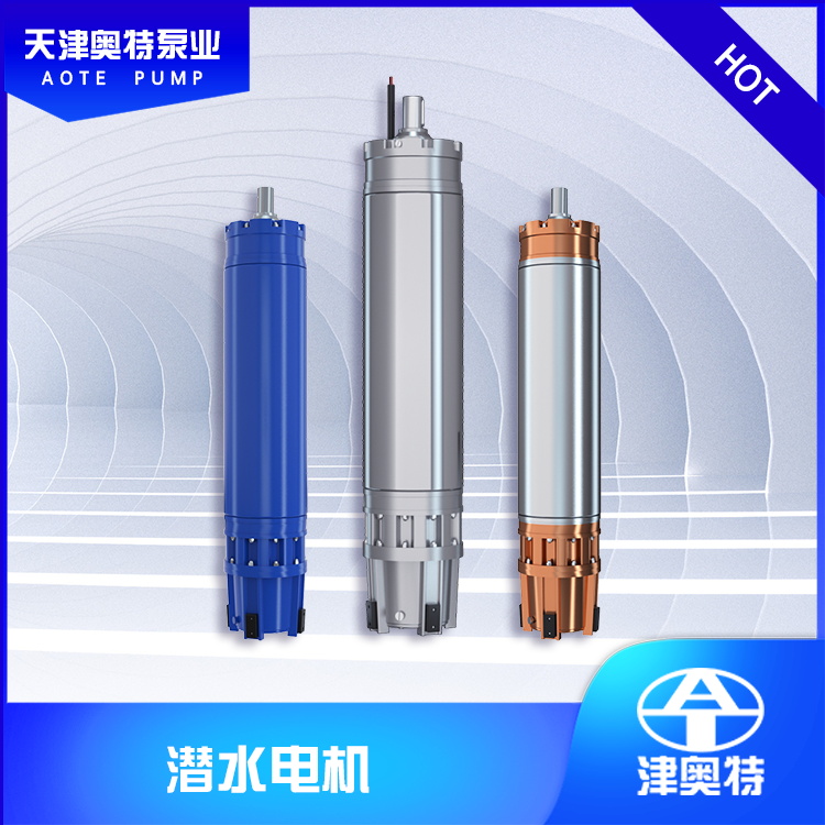 廠家現(xiàn)貨不銹鋼潛水電機(jī)_型號規(guī)格_大功率防腐蝕_河道池塘
